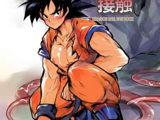 cover 14