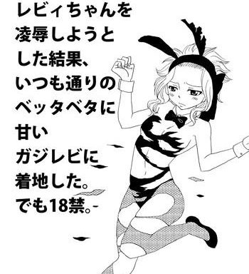 gajeelevy manga cover