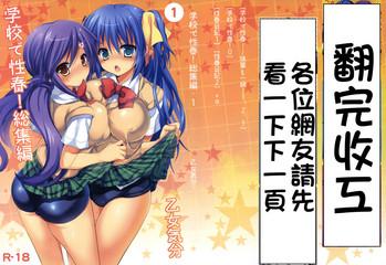 gakkou de seishun soushuuhen 1 cover