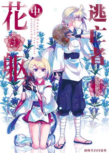 279111 cover