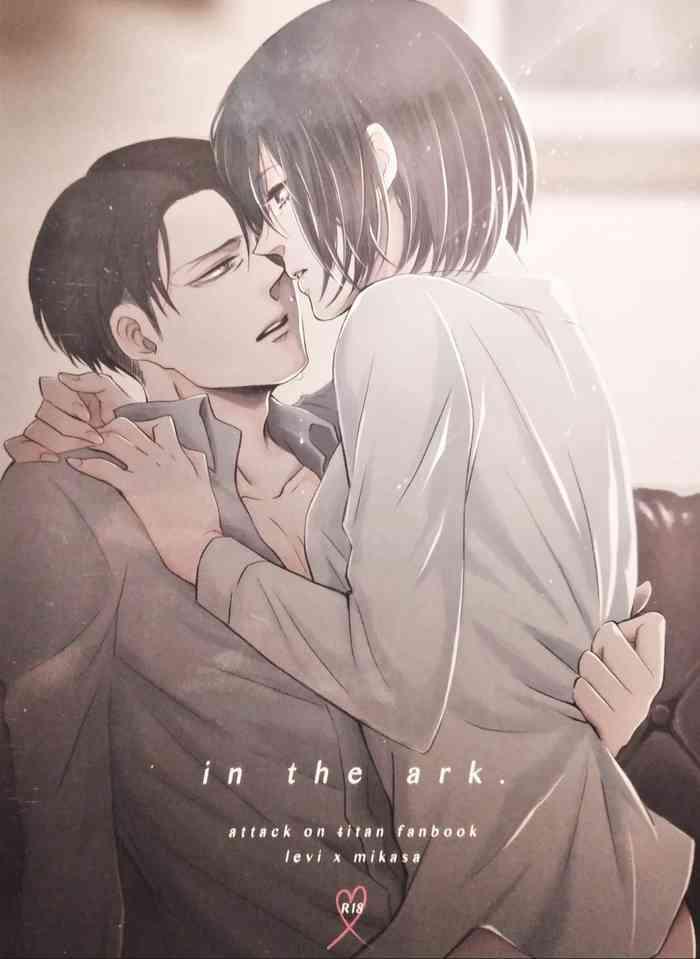 in the ark cover